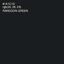#1A1C1D - Rangoon Green Color Image